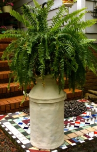 Vintage Milk Cans with Fern