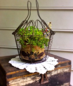 Vintage Egg Basket With Plant