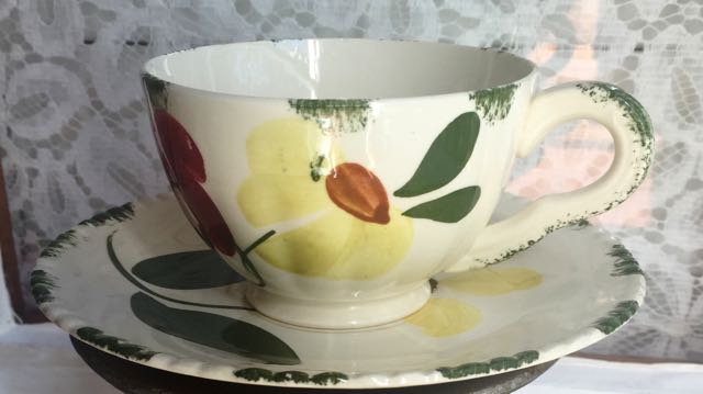 Blue Ridge Cup & Saucer