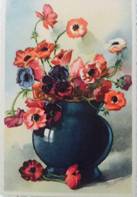 Poppy Postcard