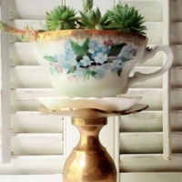 Vintage Teacup with Succulent on Pillar Stand