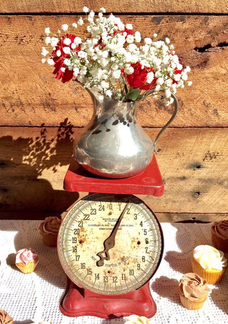 Vintage Metal Pitcher on Vintage Red Scale