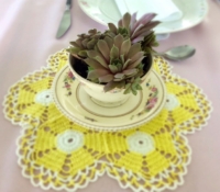 Vintage Yellow Doily with Teacup Sedum