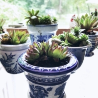 Petite Blue and White Planters