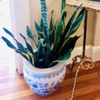 Large Blue and White Planter