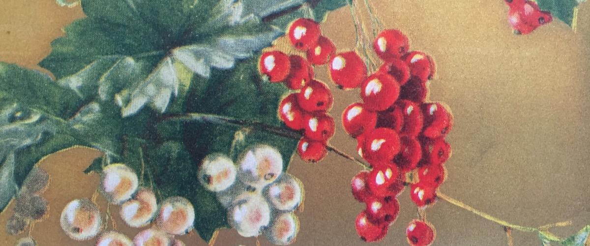 Vintage Postcard with Berries